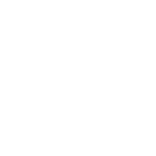 Mizuno Mizuno